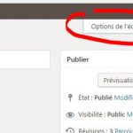 Article Page Options Ecran - Onglet